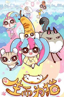 上城企业网站优化推广